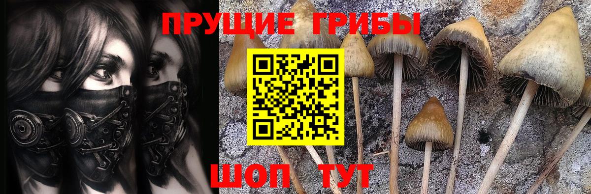 Воронеж  Галлюциногенные грибы Magic Shrooms  Вход с VPN  Псилоцибиновые грибы Psilocybine cubensis 