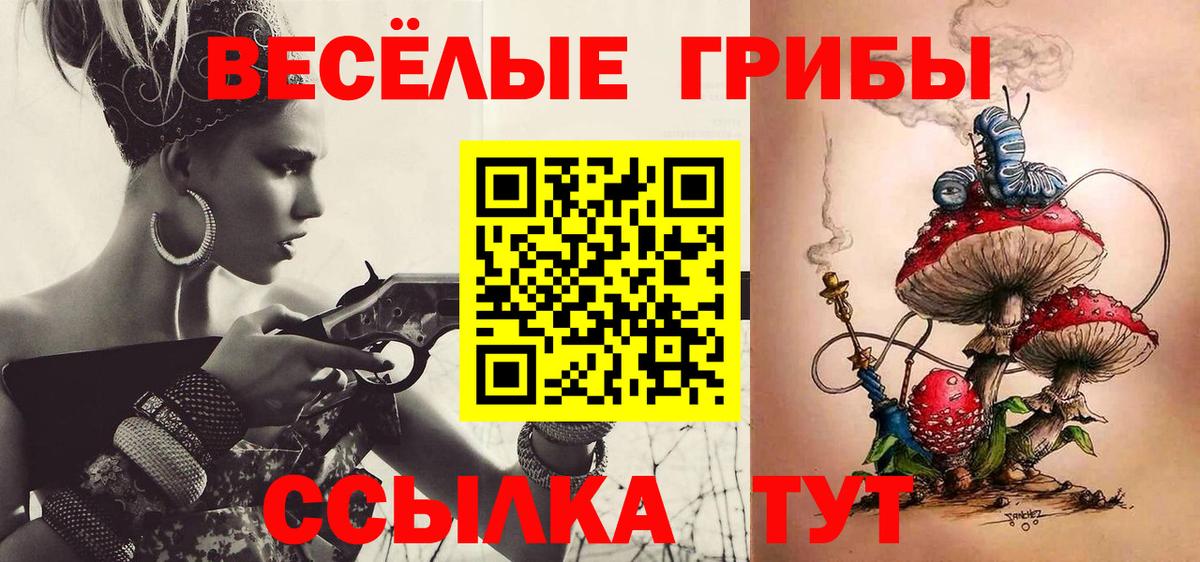 Псилоцибиновые грибы мицелий Воронеж